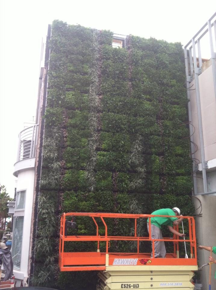 Coastal Gardens living gallery project image