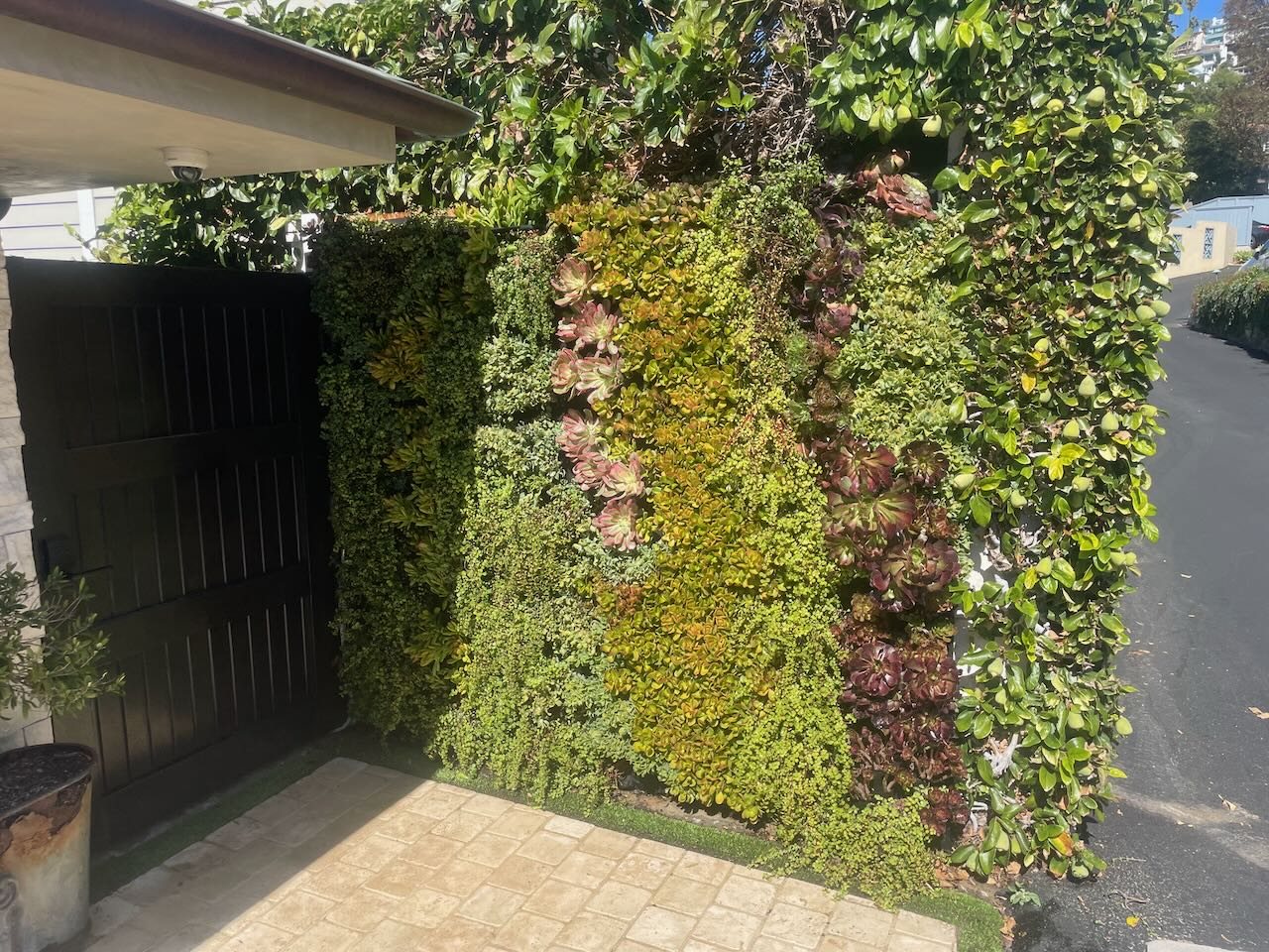 Coastal Gardens living gallery project image