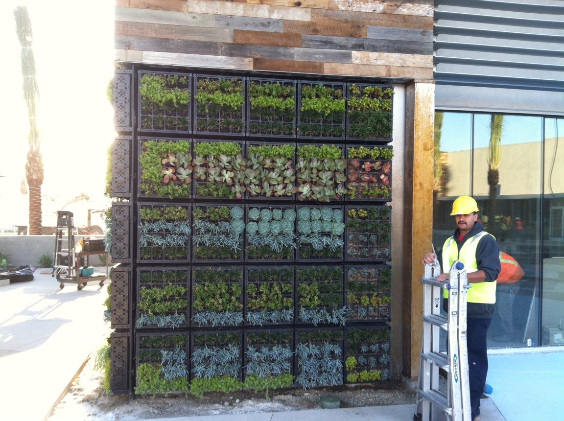 Coastal Gardens team working on a planted installation