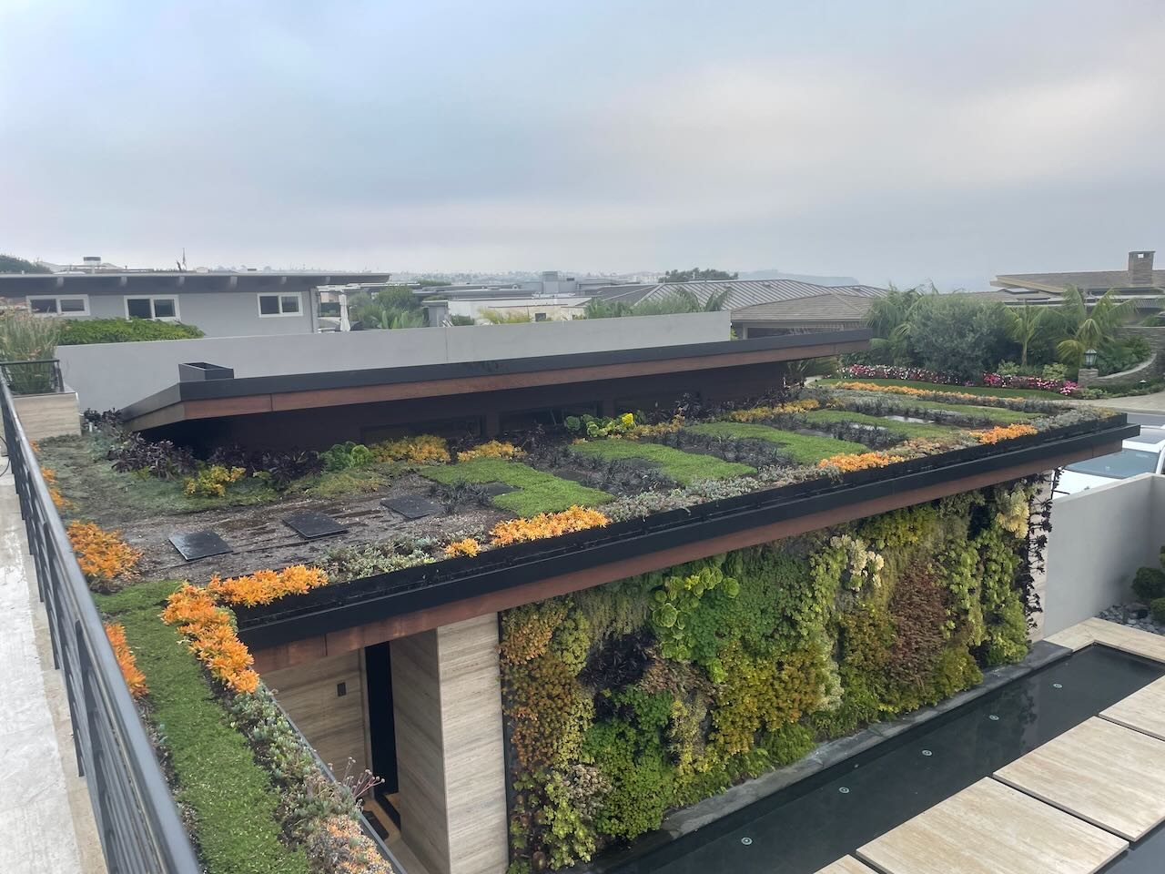 Rooftop garden